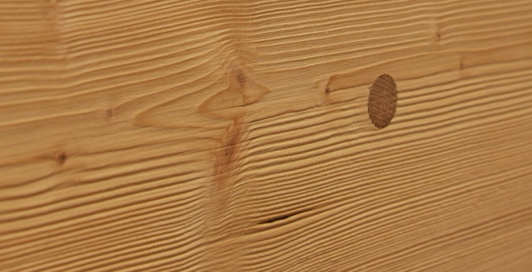 Holz100 – das Original