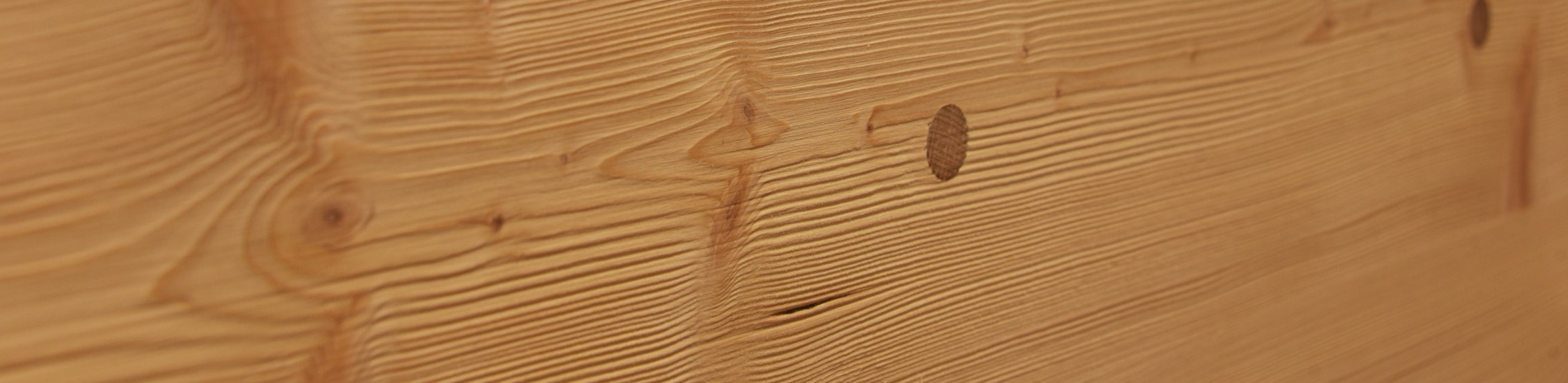Holz100 - das Original