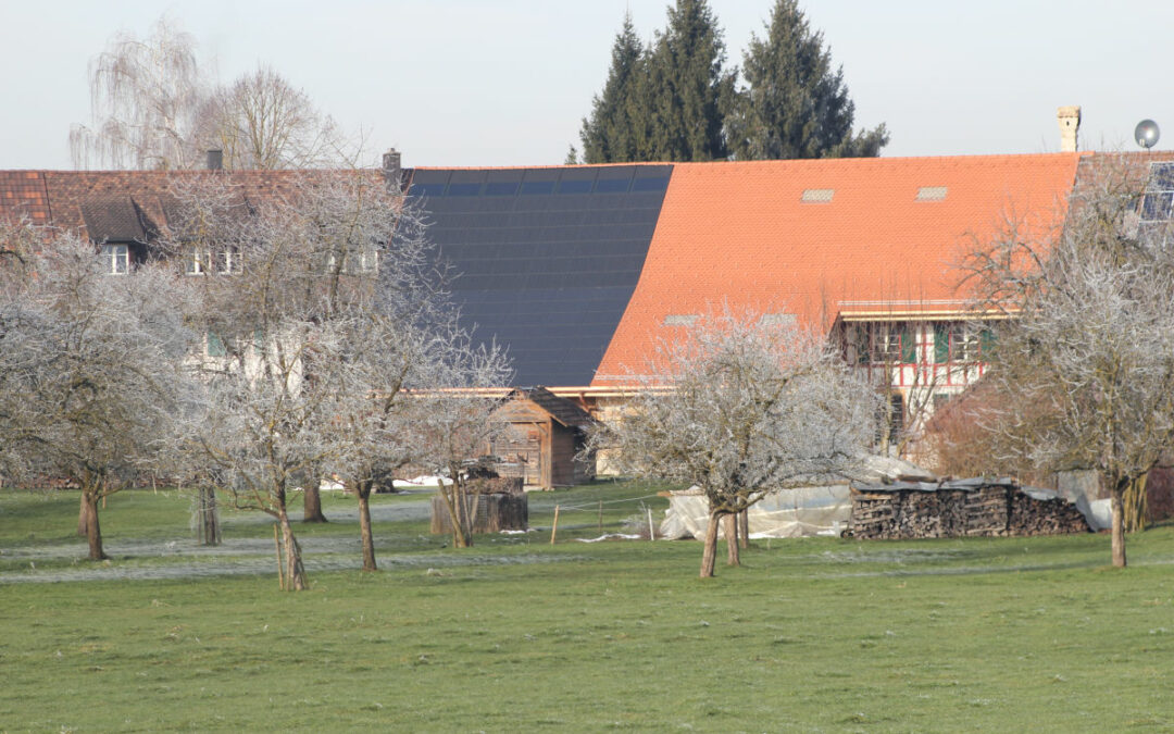 Hinterhorben
