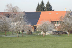 Hinterhorben