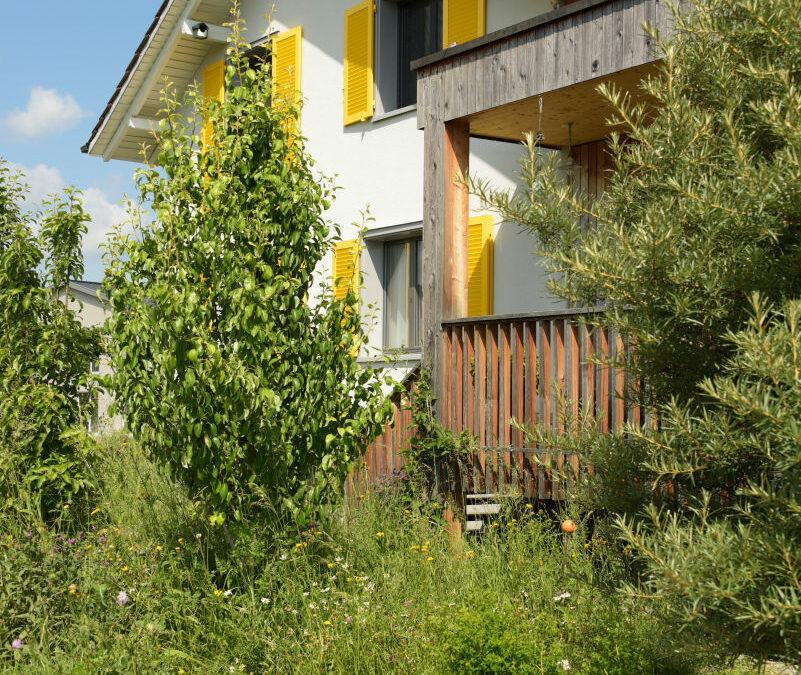 Ettenhausen